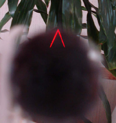 Split pupil effect